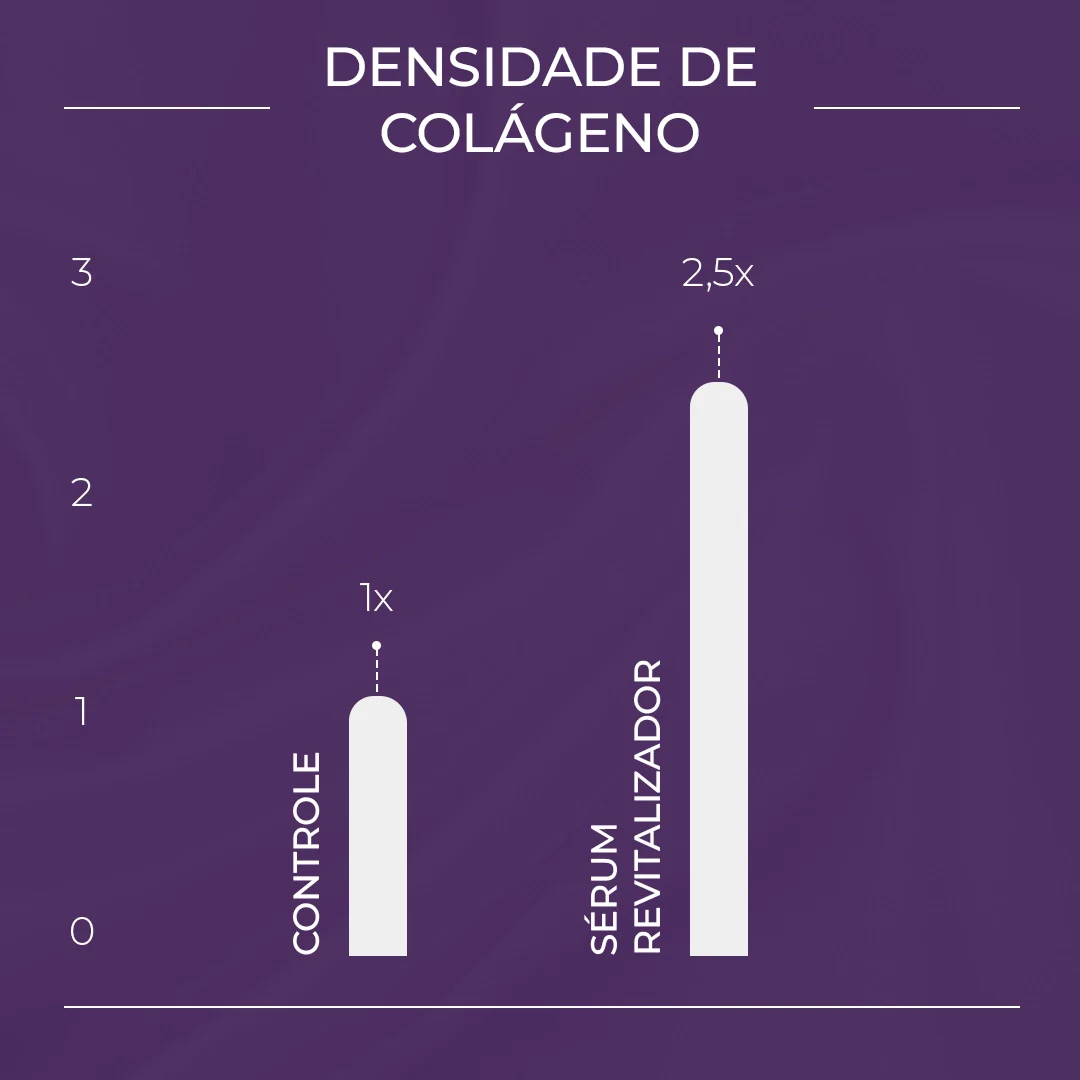 Imagem do produto 10